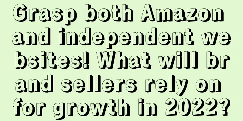 Grasp both Amazon and independent websites! What will brand sellers rely on for growth in 2022?