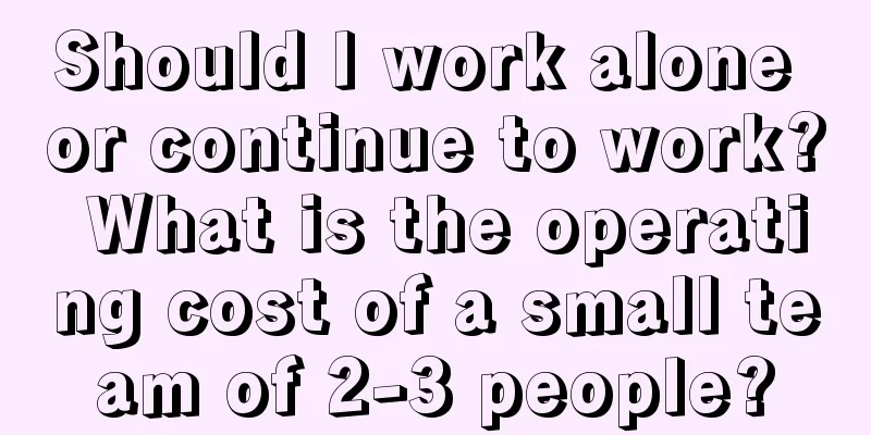 Should I work alone or continue to work? What is the operating cost of a small team of 2-3 people?