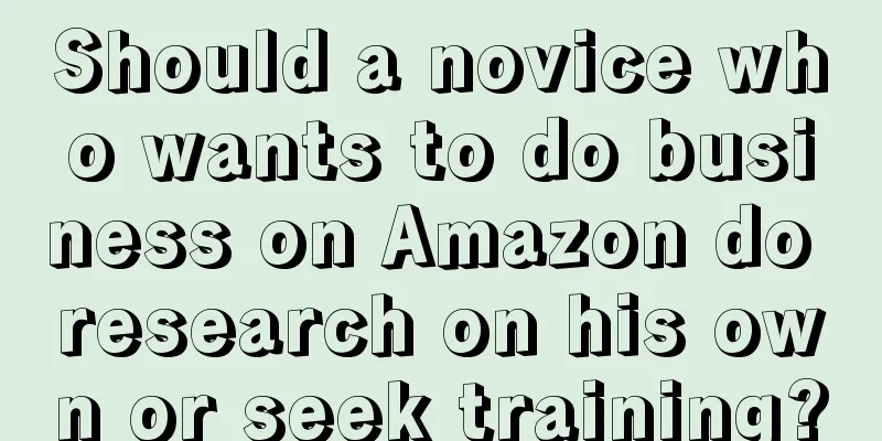 Should a novice who wants to do business on Amazon do research on his own or seek training?