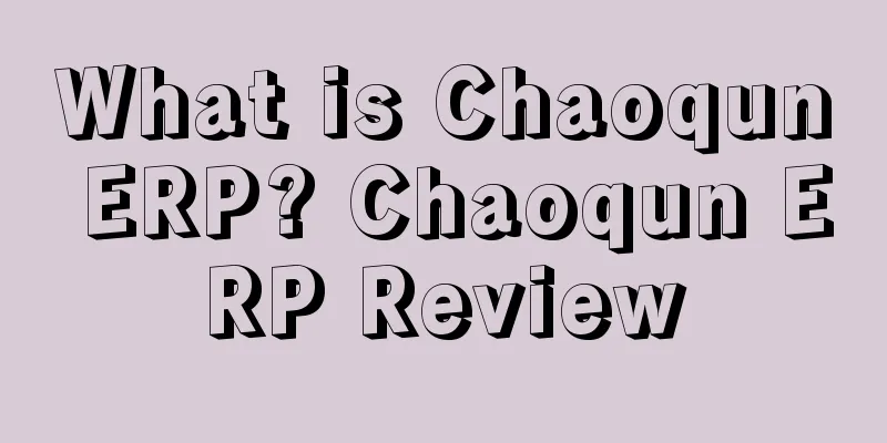 What is Chaoqun ERP? Chaoqun ERP Review