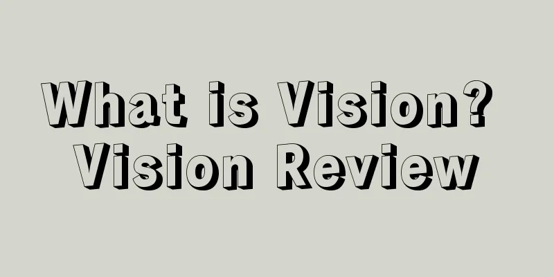 What is Vision? Vision Review