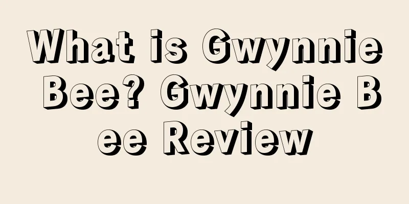 What is Gwynnie Bee? Gwynnie Bee Review