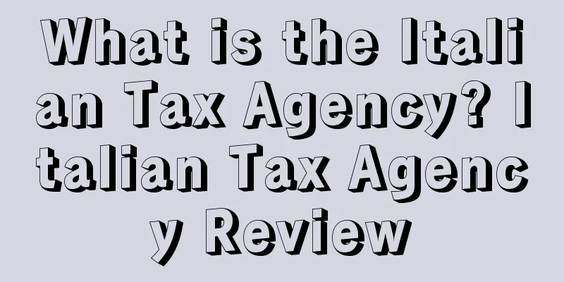 What is the Italian Tax Agency? Italian Tax Agency Review