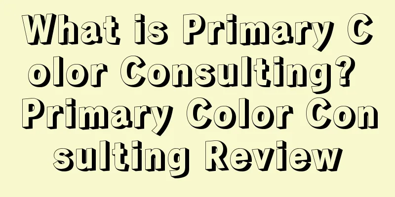 What is Primary Color Consulting? Primary Color Consulting Review