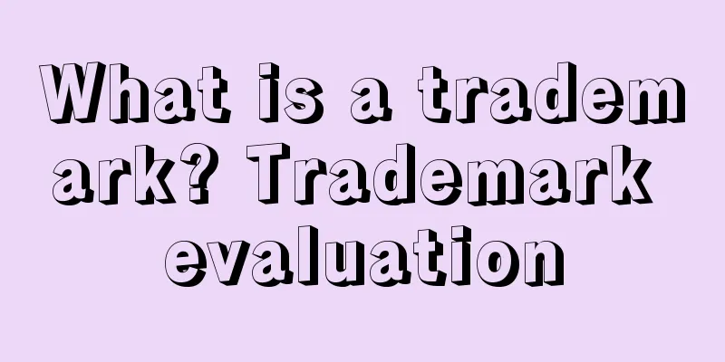What is a trademark? Trademark evaluation
