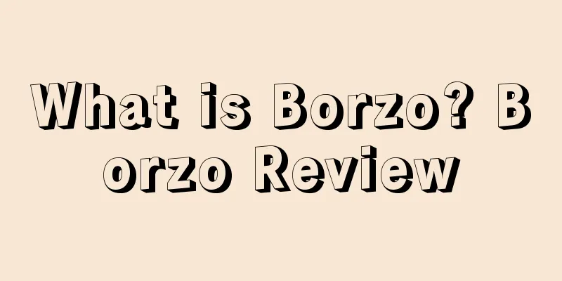 What is Borzo? Borzo Review
