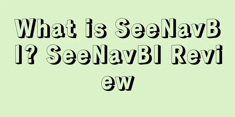 What is SeeNavBI? SeeNavBI Review