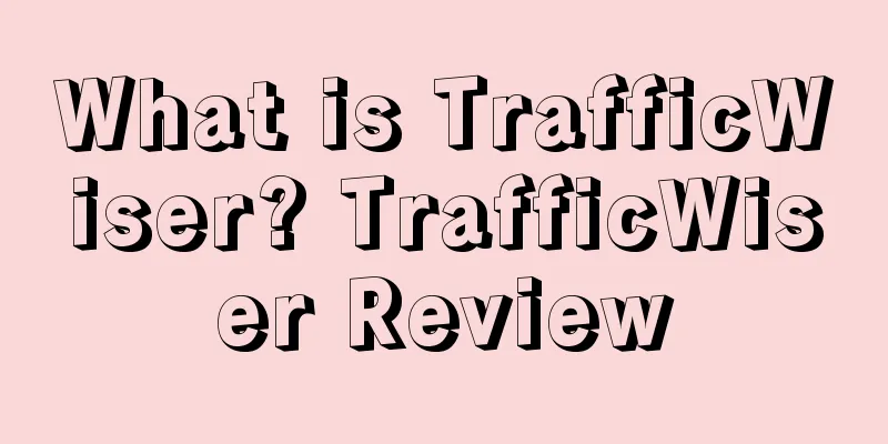 What is TrafficWiser? TrafficWiser Review