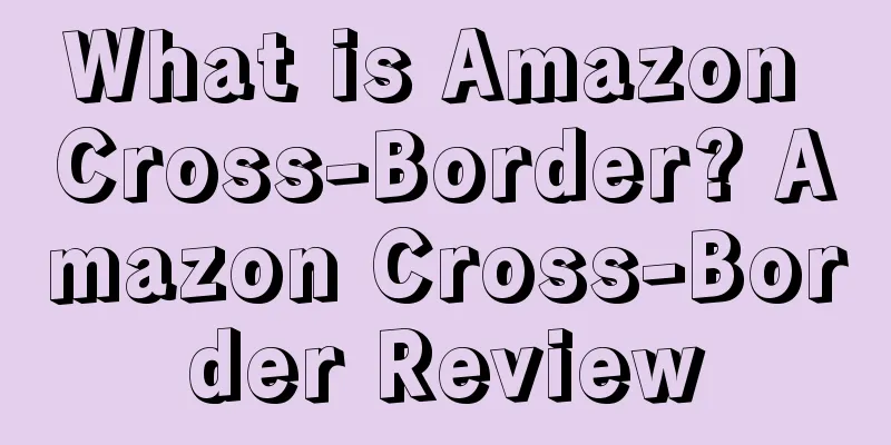 What is Amazon Cross-Border? Amazon Cross-Border Review
