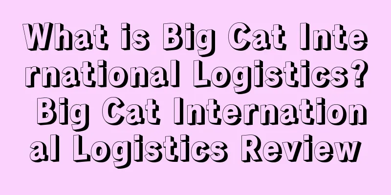 What is Big Cat International Logistics? Big Cat International Logistics Review