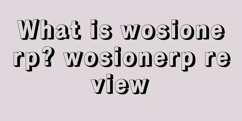 What is wosionerp? wosionerp review