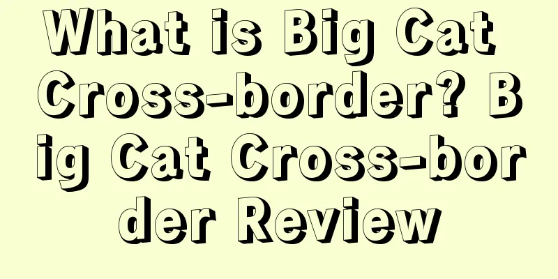 What is Big Cat Cross-border? Big Cat Cross-border Review