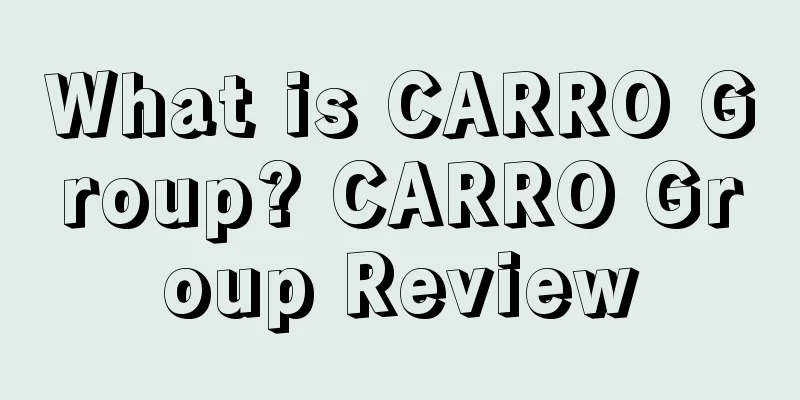 What is CARRO Group? CARRO Group Review