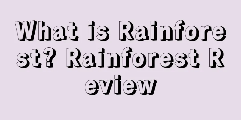 What is Rainforest? Rainforest Review