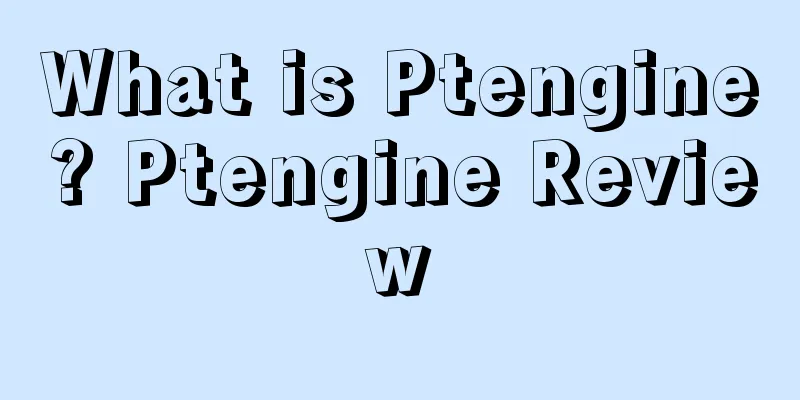 What is Ptengine? Ptengine Review