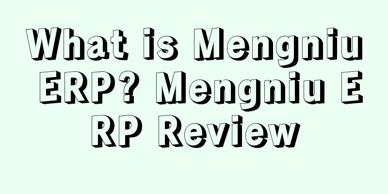 What is Mengniu ERP? Mengniu ERP Review