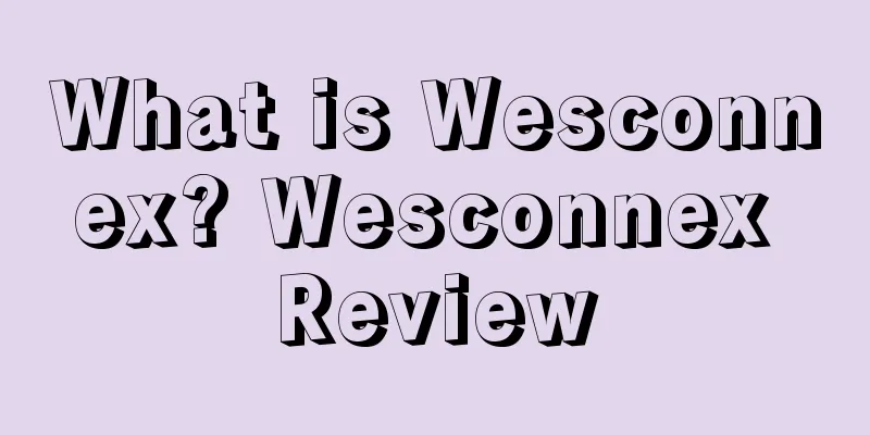 What is Wesconnex? Wesconnex Review