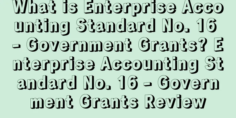 What is Enterprise Accounting Standard No. 16 - Government Grants? Enterprise Accounting Standard No. 16 - Government Grants Review
