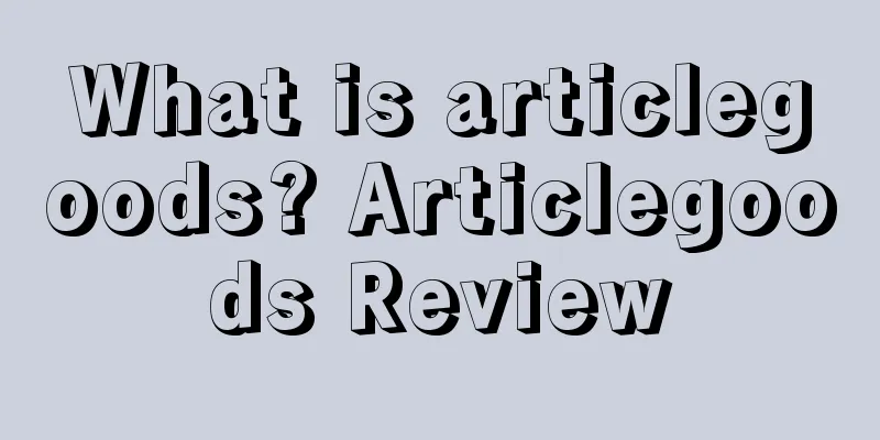 What is articlegoods? Articlegoods Review