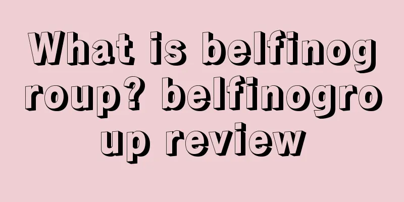 What is belfinogroup? belfinogroup review