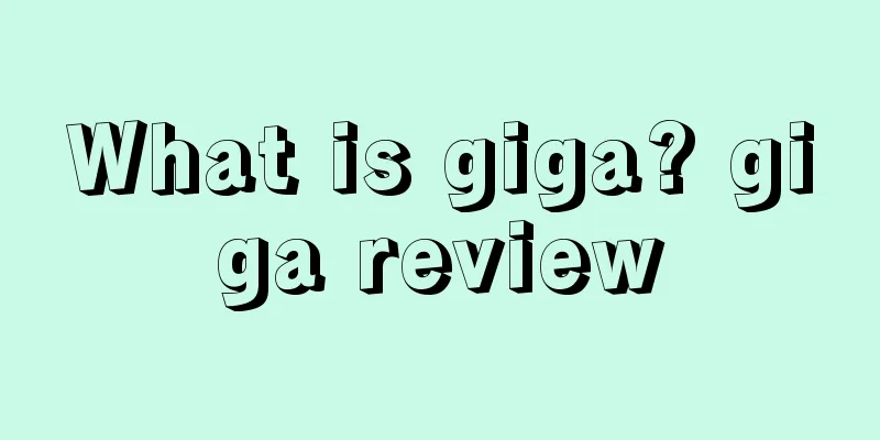 What is giga? giga review