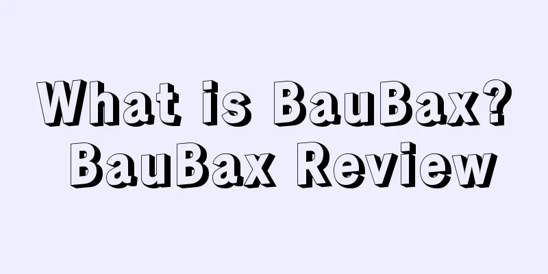 What is BauBax? BauBax Review