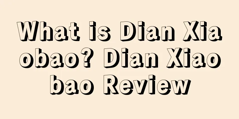 What is Dian Xiaobao? Dian Xiaobao Review