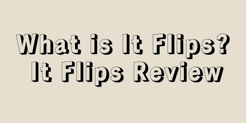 What is It Flips? It Flips Review