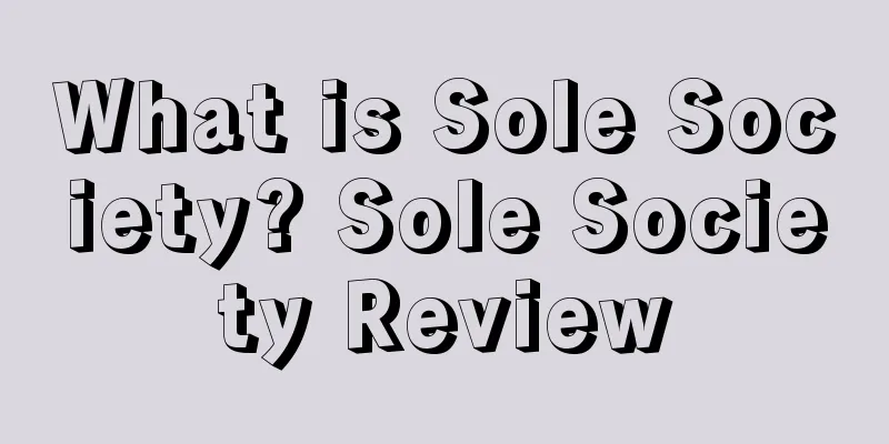 What is Sole Society? Sole Society Review