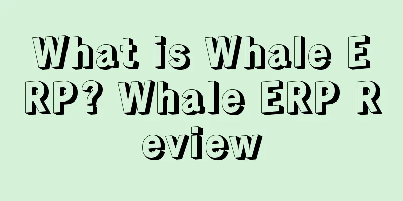 What is Whale ERP? Whale ERP Review