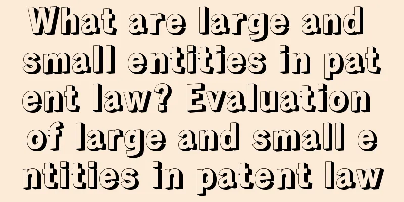 What are large and small entities in patent law? Evaluation of large and small entities in patent law