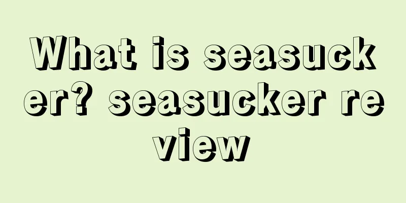 What is seasucker? seasucker review
