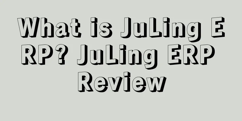 What is JuLing ERP? JuLing ERP Review