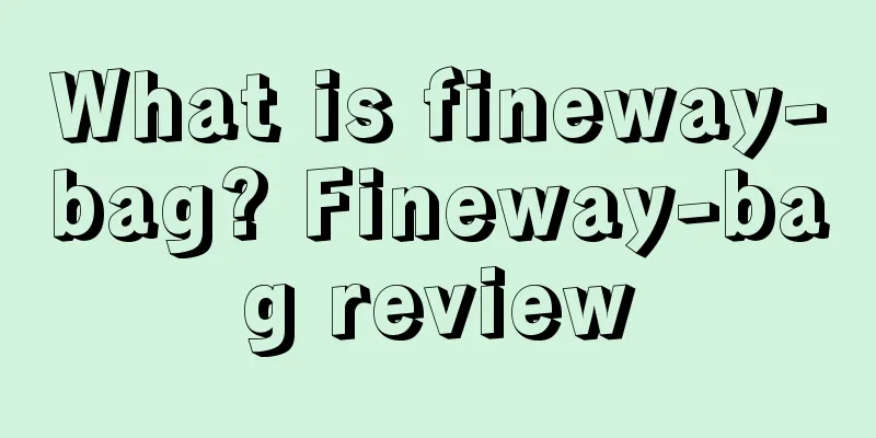 What is fineway-bag? Fineway-bag review