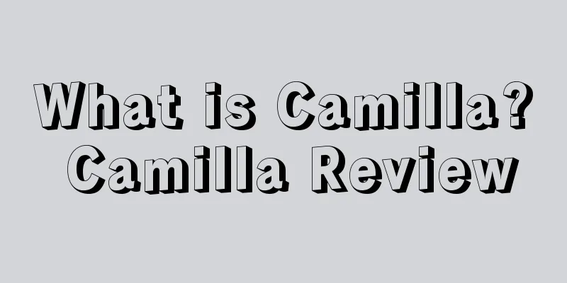 What is Camilla? Camilla Review