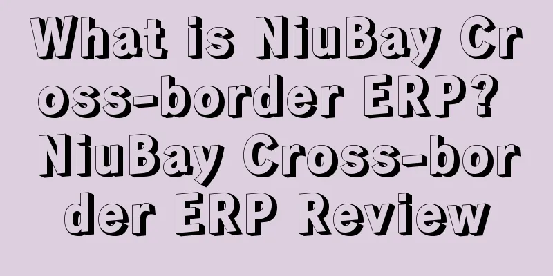 What is NiuBay Cross-border ERP? NiuBay Cross-border ERP Review