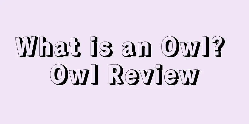 What is an Owl? Owl Review