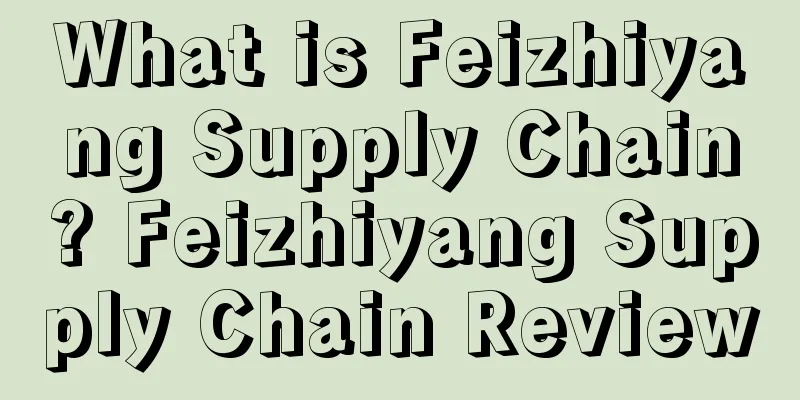 What is Feizhiyang Supply Chain? Feizhiyang Supply Chain Review