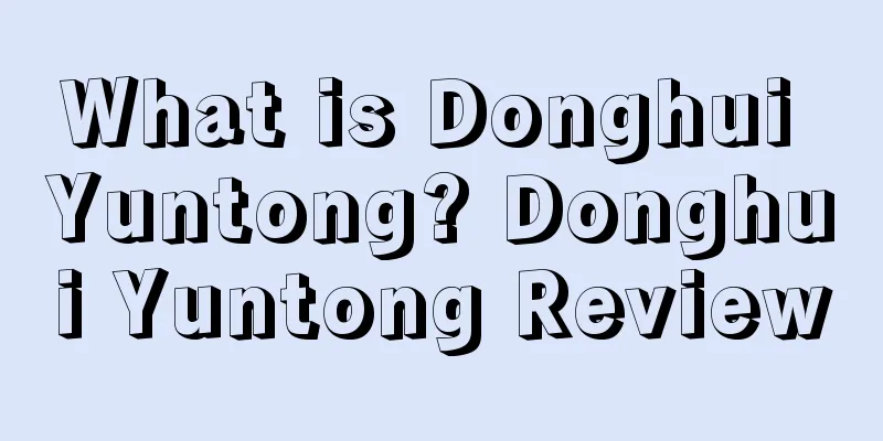 What is Donghui Yuntong? Donghui Yuntong Review