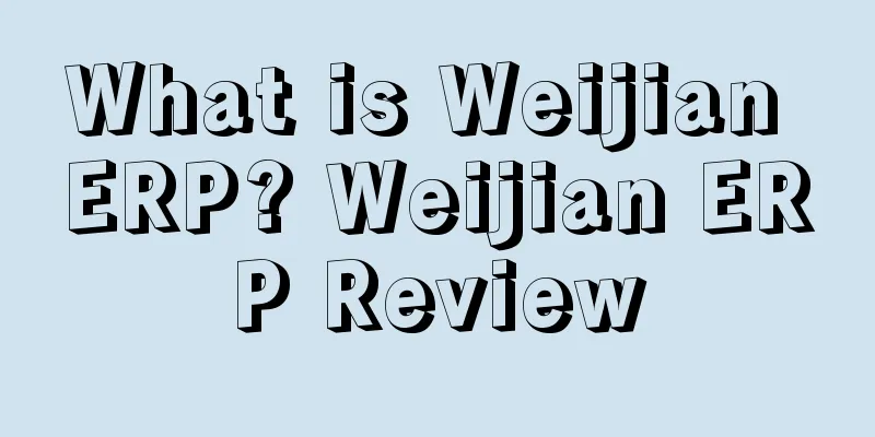What is Weijian ERP? Weijian ERP Review