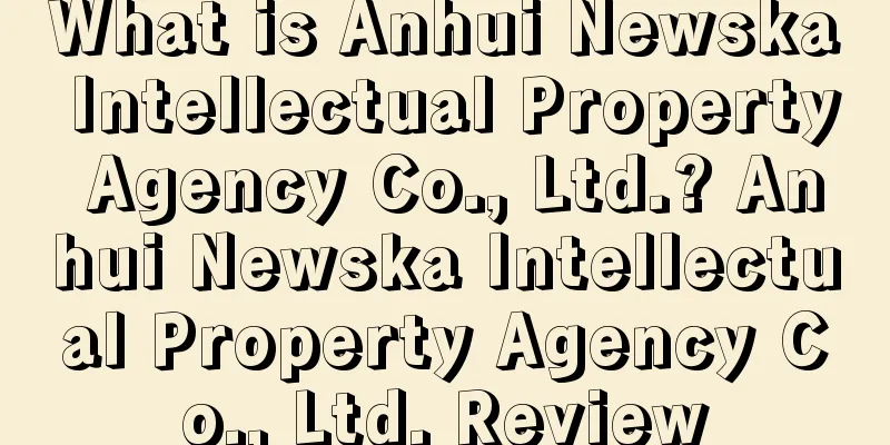 What is Anhui Newska Intellectual Property Agency Co., Ltd.? Anhui Newska Intellectual Property Agency Co., Ltd. Review