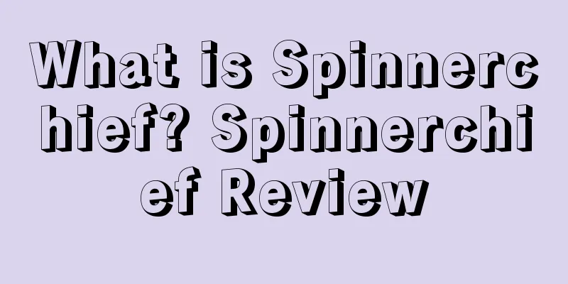 What is Spinnerchief? Spinnerchief Review