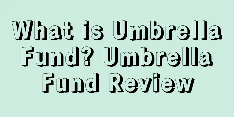 What is Umbrella Fund? Umbrella Fund Review