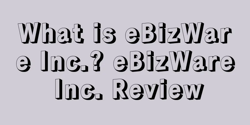 What is eBizWare Inc.? eBizWare Inc. Review