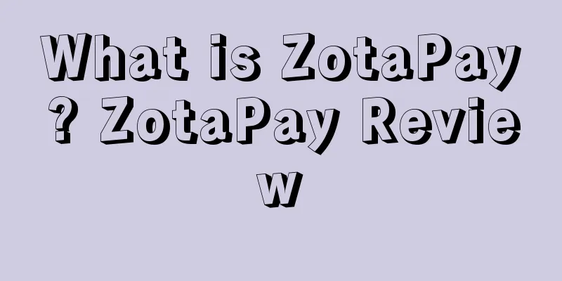 What is ZotaPay? ZotaPay Review