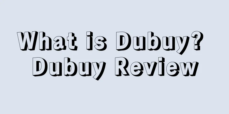What is Dubuy? Dubuy Review