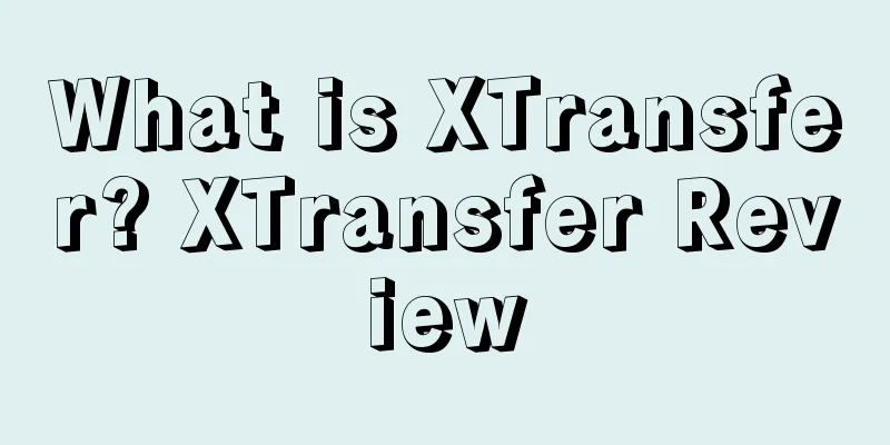 What is XTransfer? XTransfer Review