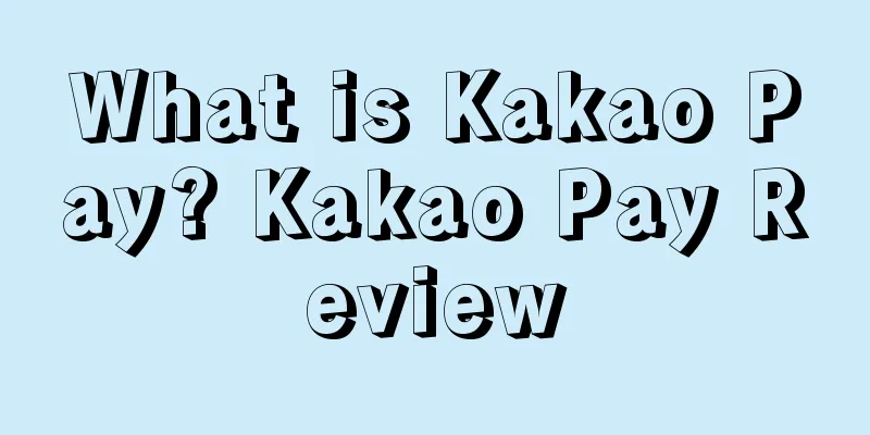 What is Kakao Pay? Kakao Pay Review