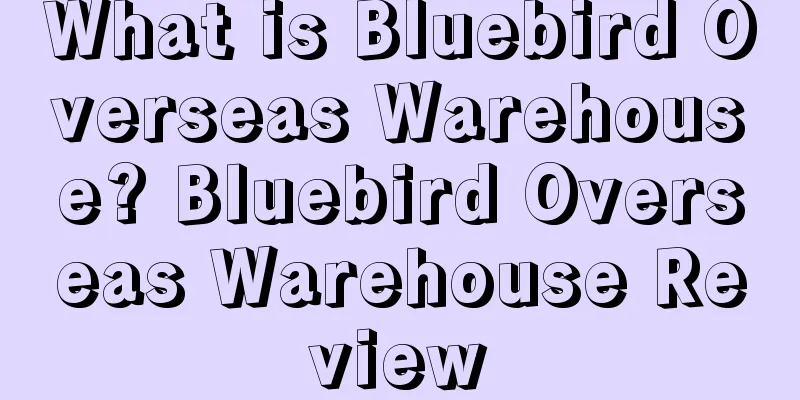 What is Bluebird Overseas Warehouse? Bluebird Overseas Warehouse Review