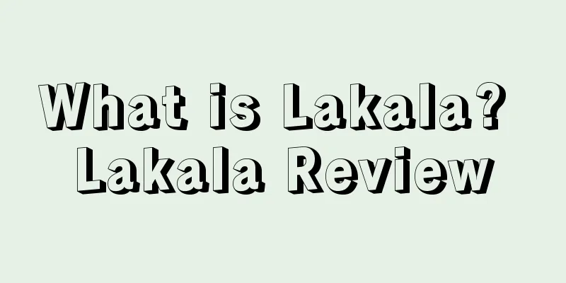 What is Lakala? Lakala Review